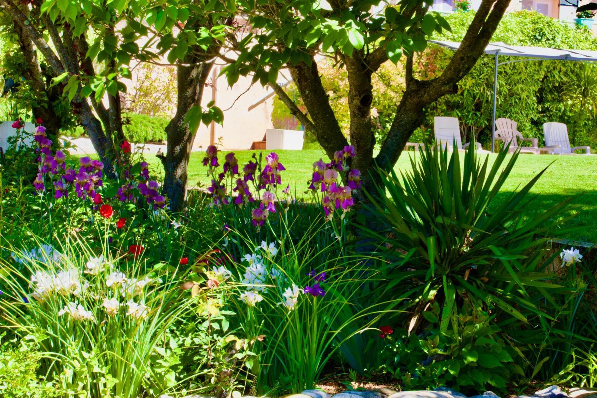 Bed and Breakfast La Bastide Des Roses Saint-Julien-d'Asse Exteriér fotografie